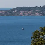 Miris Bora Orebić